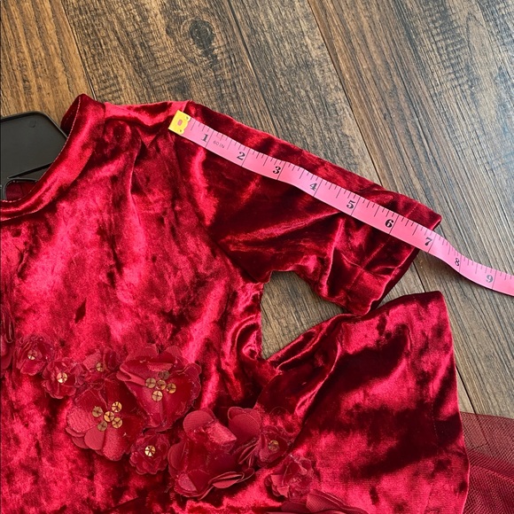 Disney belle Princess burgundy Velvet Dress - Picture 14 of 16